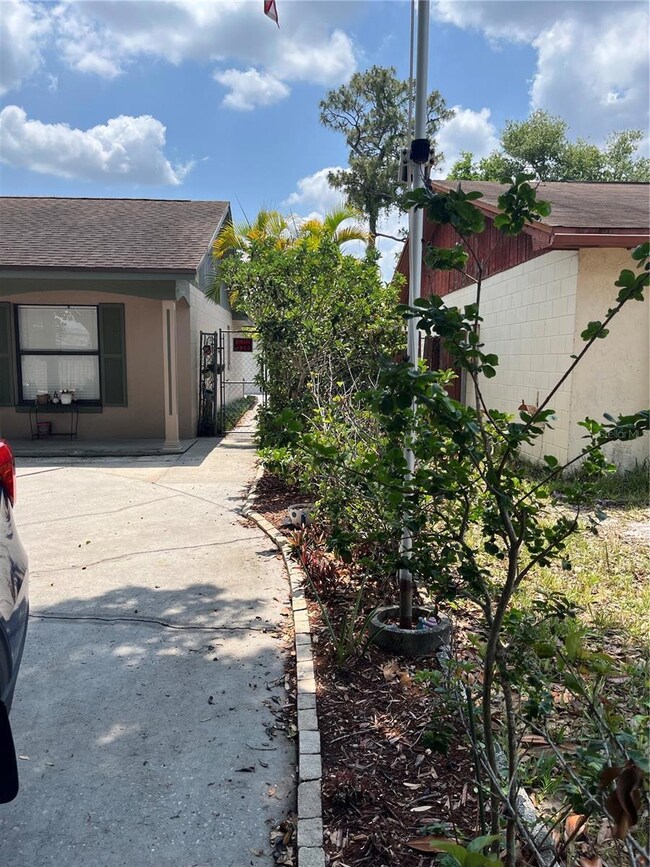 Left Side Front Yard