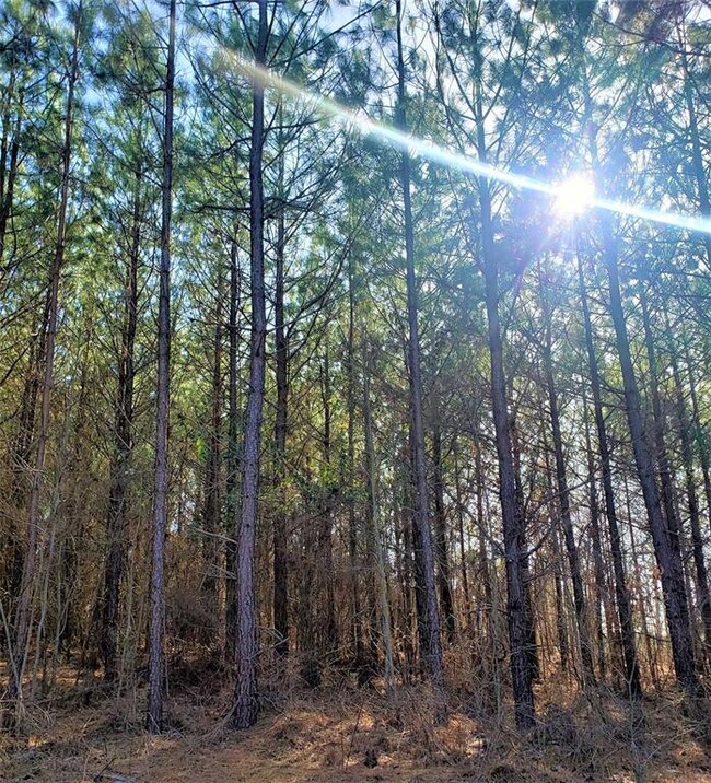 735 Timber Creek Trails South XI, Broken Bow, OK 74728 - photo 5