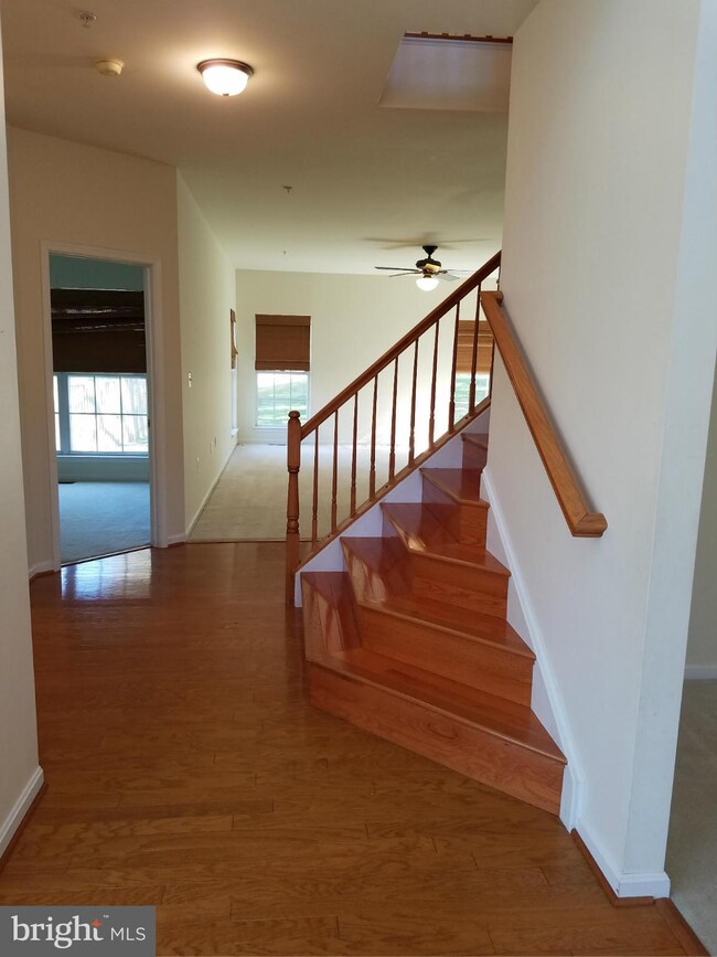 9810 Doubletree Ln, Springdale, MD 20774 - photo 5