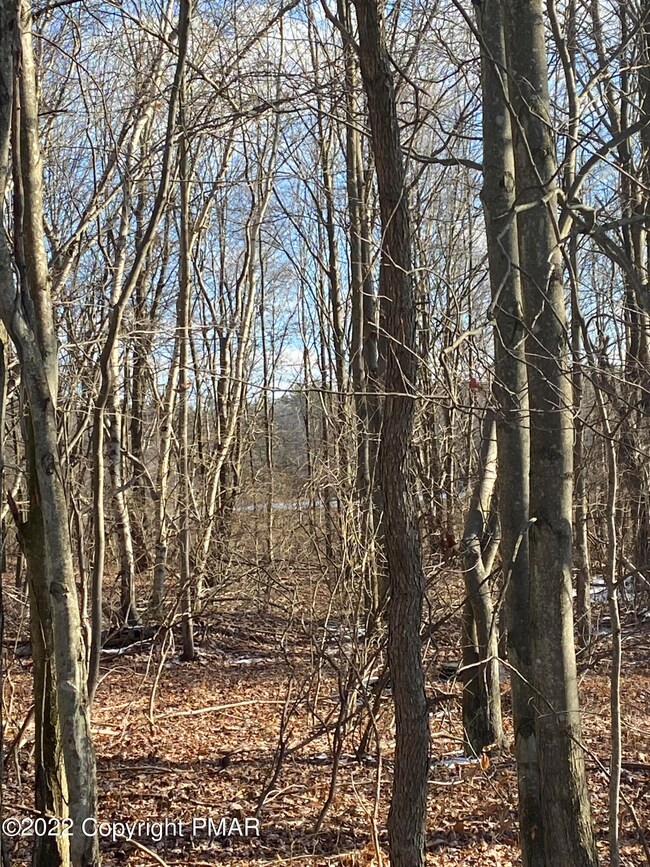 Lot 34 Lidio Rd, Blakeslee, PA 18610 - photo 3