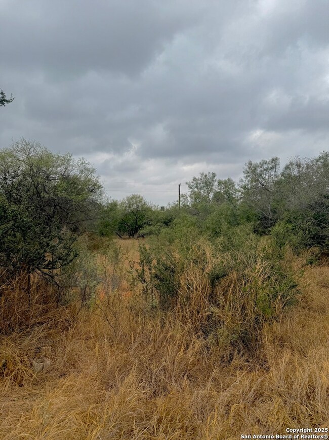 103 S Oleander Ave, Cotulla, TX 78014 - photo 7