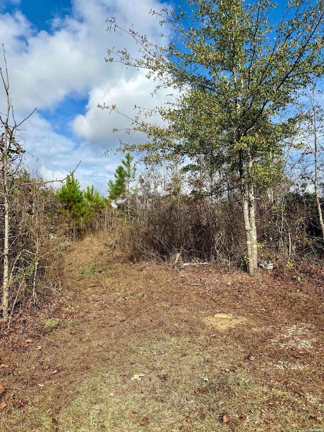 2470 Arkansas 84, Amity, AR 71921 - photo 5