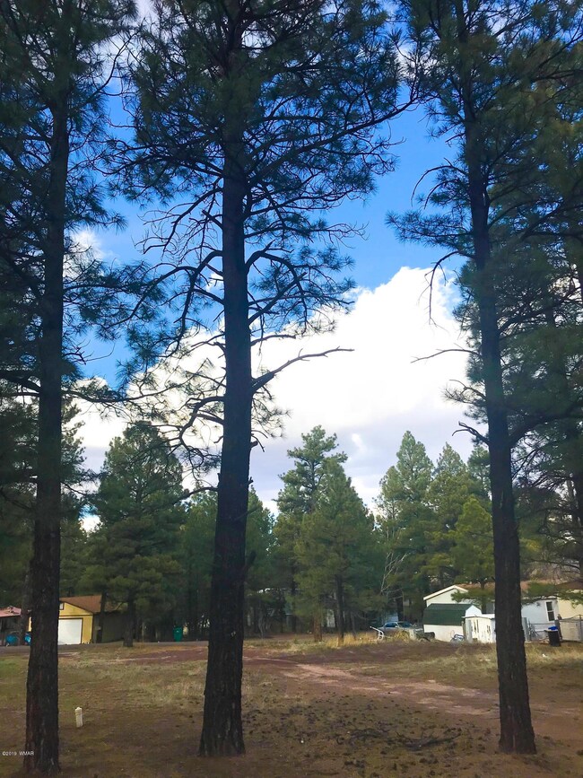 2430 W Sylvester Dr, Show Low, AZ 85901 - photo 3