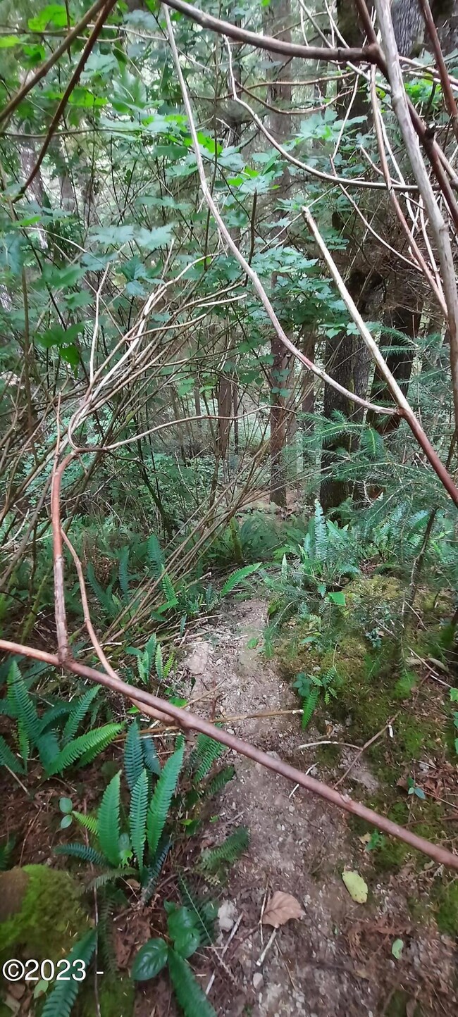 To the creek