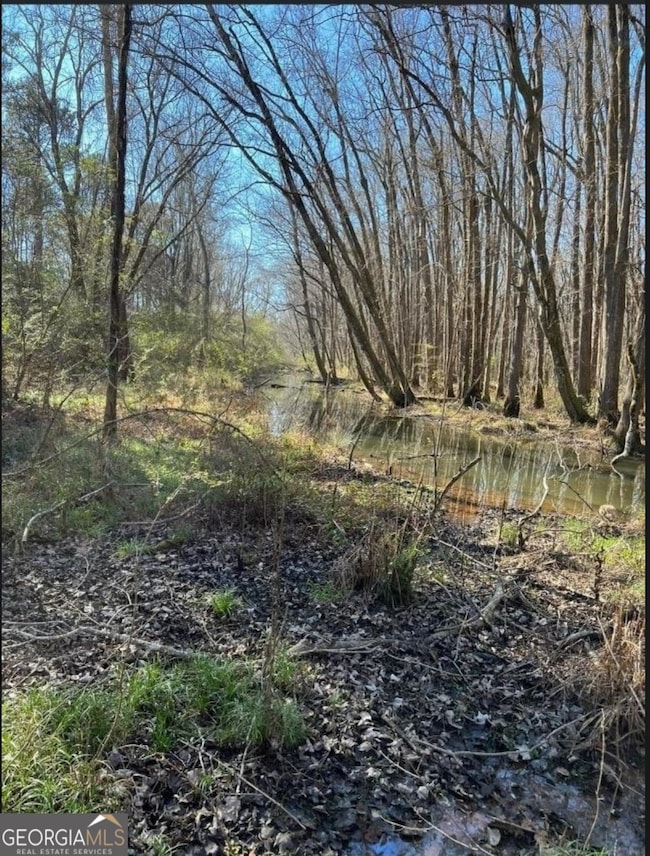 4900 Elkan Ave, Macon, GA 31206 - photo 7