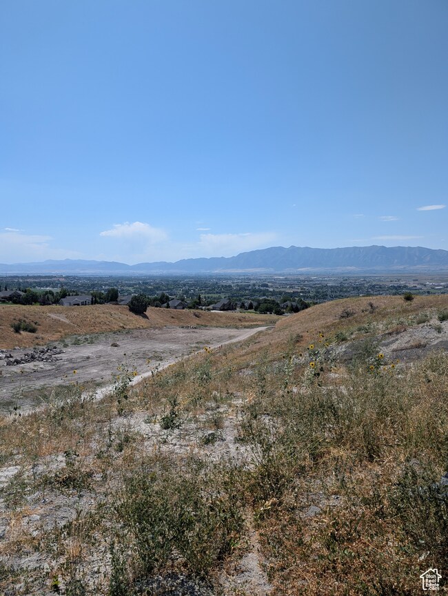 View of mountain background