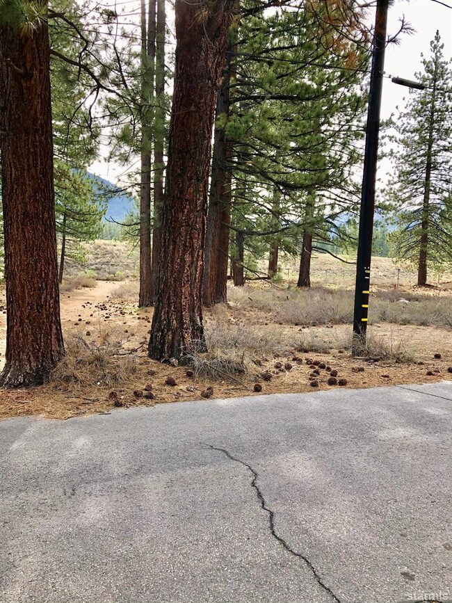 0 Hank Monk Ave, South Lake Tahoe, CA 96150 - photo 2