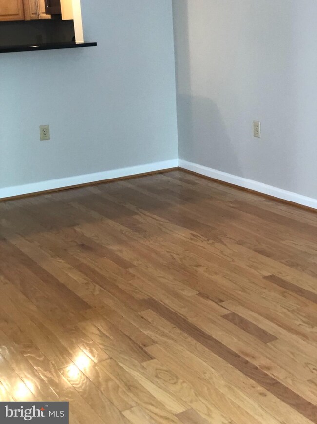 Silverton Condominiums, Silver Spring, MD 20910 - photo 5