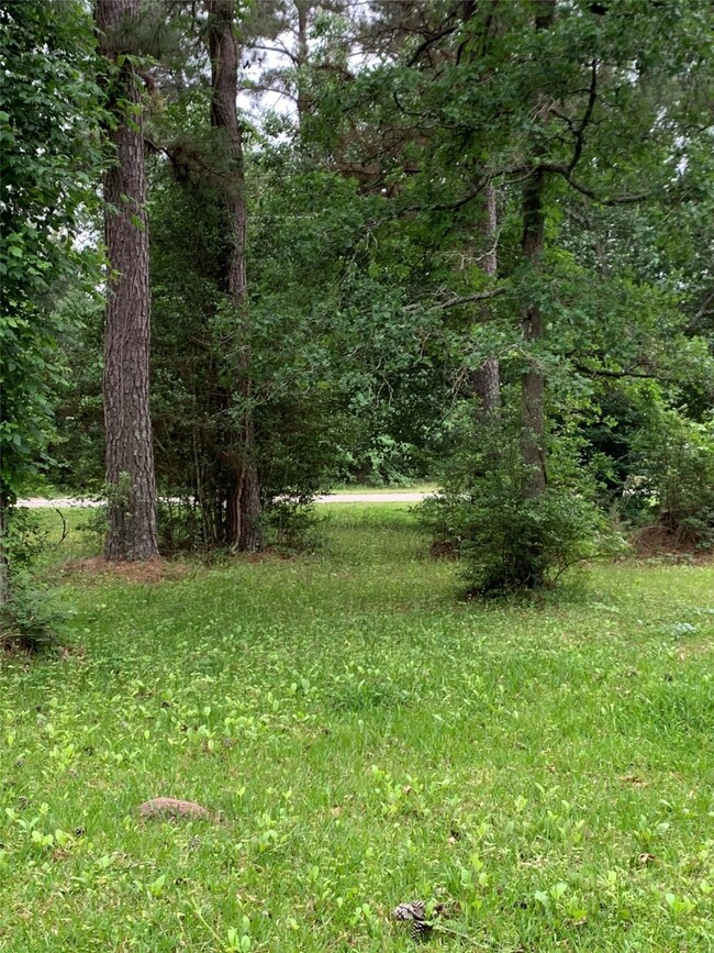 15610 Coe Loop, Magnolia, TX 77355 - photo 5