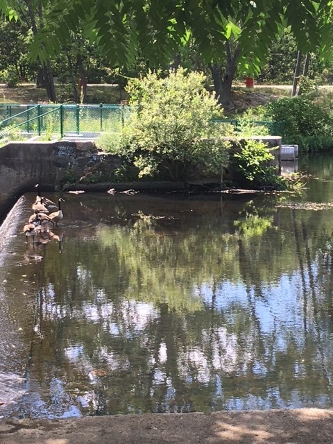 31 Devereux St unit 307, Providence, RI 02909 - photo 3