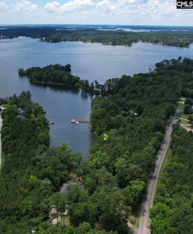 lot 2 Saint Thomas Church Rd, Chapin, SC 29036 - photo 2