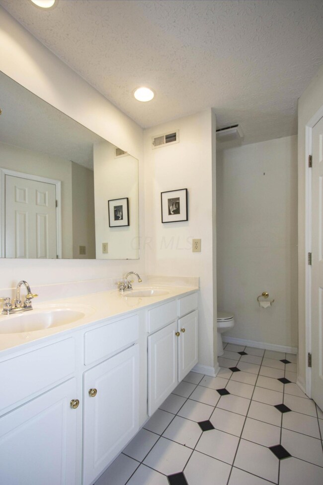 Owner's Bath V