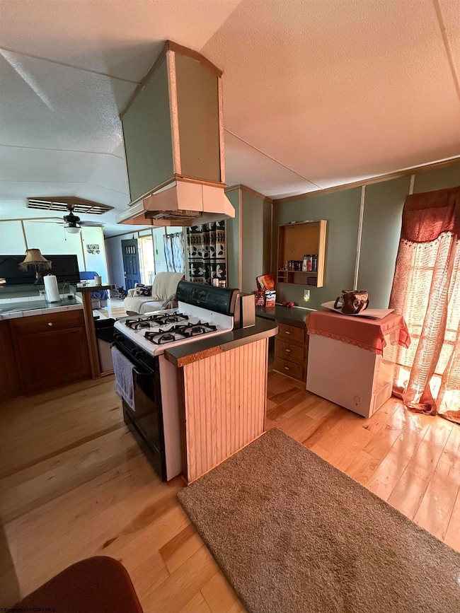 166 7th St, Hambleton, WV 26269 - photo 6