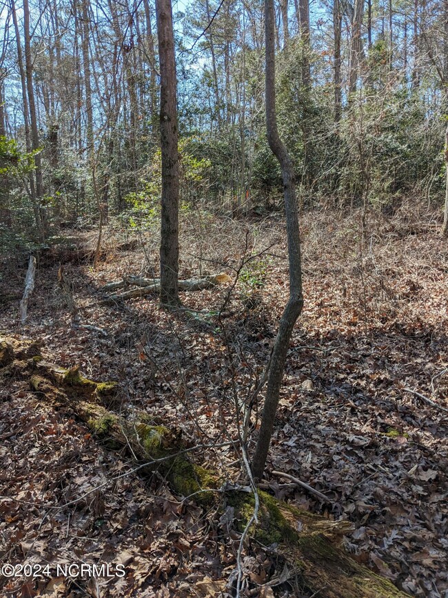 PXL_20240215_173613244