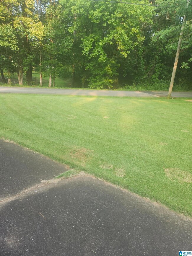 101 Silverwood Dr unit Lot 1, Talladega, AL 35160 - photo 2