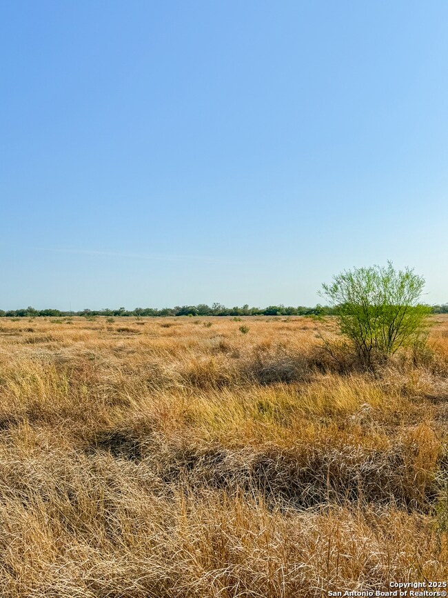 6870 County Road 329 (Tract 1-5), Jourdanton, TX 78026 - photo 5