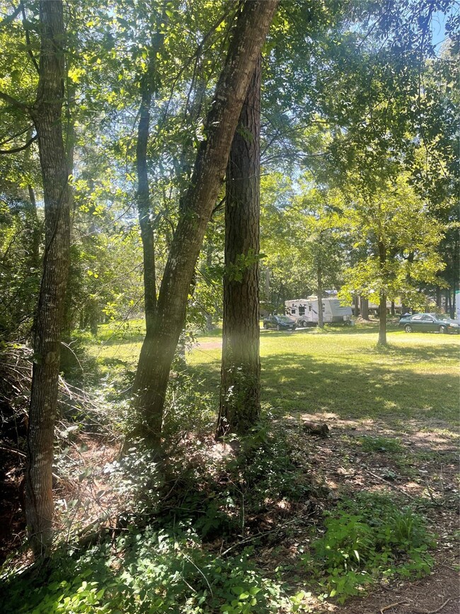 0 Klein, Magnolia, TX 77355 - photo 2