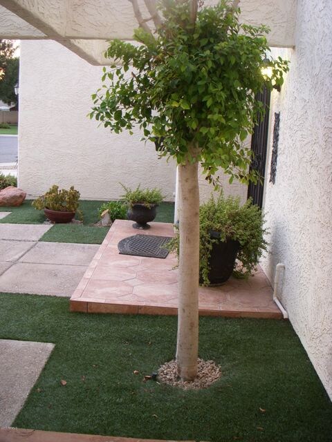 Front door view