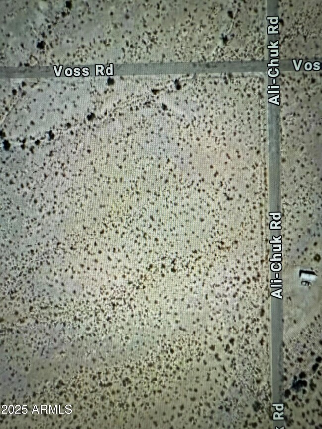 CORNER OF VOSS/ALL-CHUK