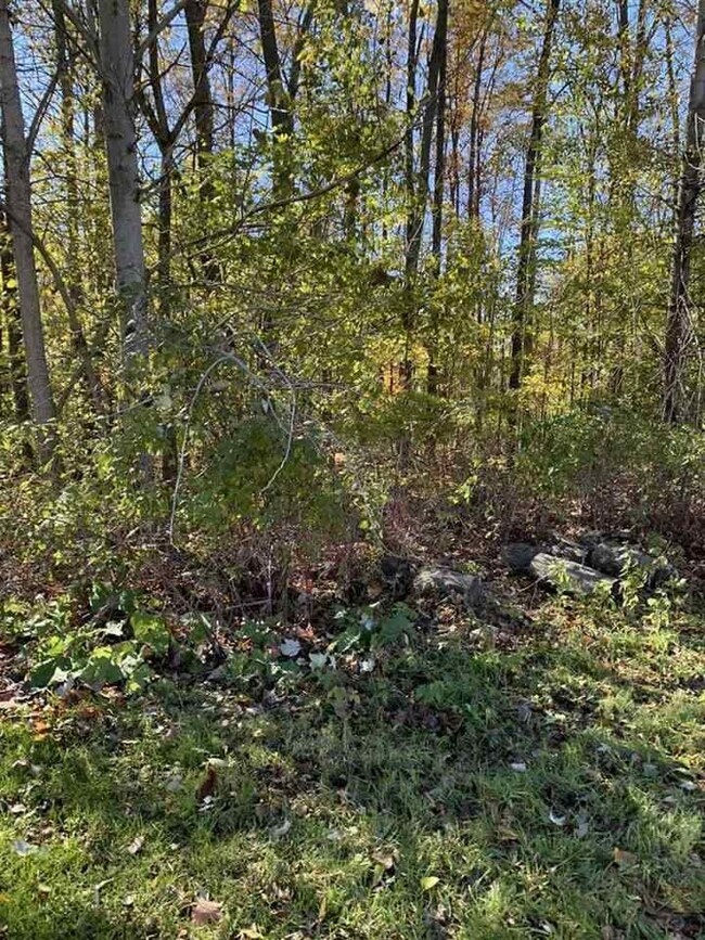 0 Stonebrook Ln, Flint Township, MI 48433 - photo 5