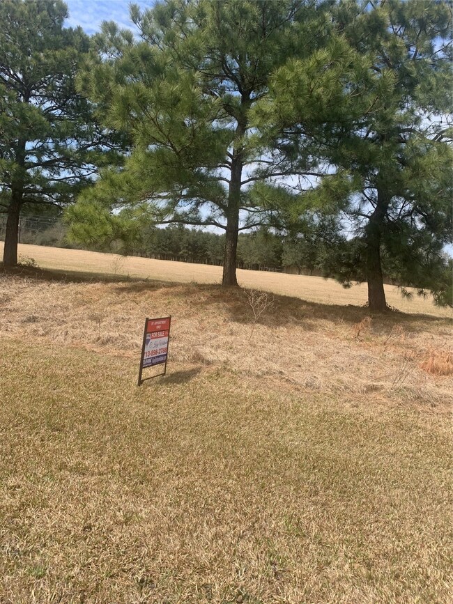 330 Meadow Lake, Magnolia, TX 77355 - photo 3