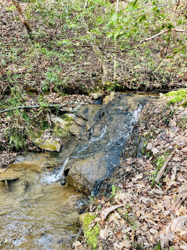 0 Georgia 136, Talking Rock, GA 30175 - photo 5