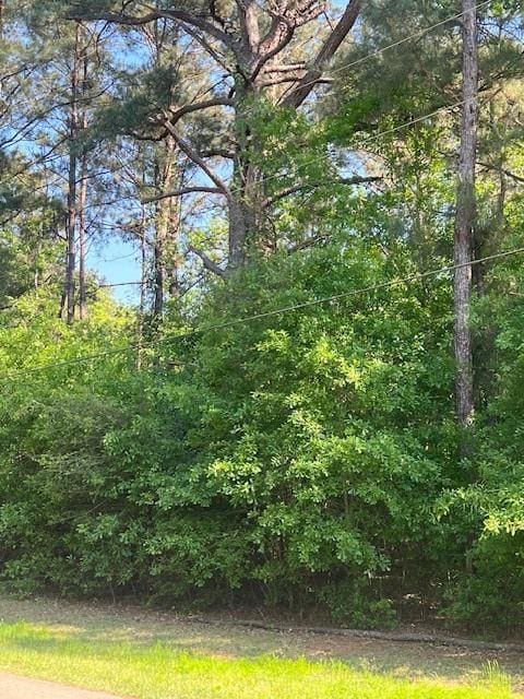 0 Raehyo Ln, Folsom, LA 70437 - photo 2