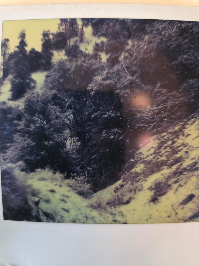 20250811_114345_resized