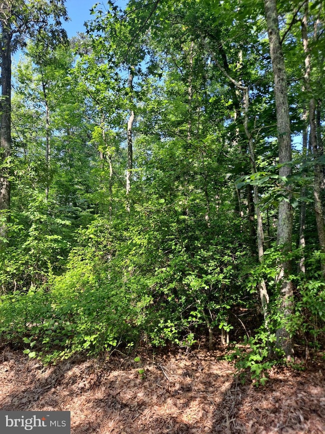 0 Poseytown Rd unit MDCH2039212, Nanjemoy, MD 20662 - photo 5