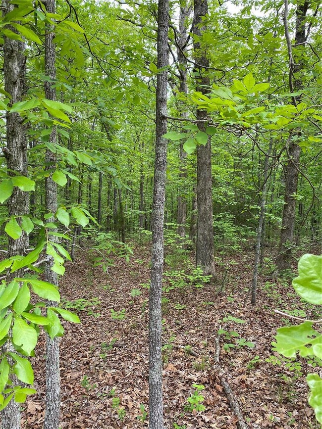 0 Hawksbill Dr, Cullen Township, MO 65459 - photo 5