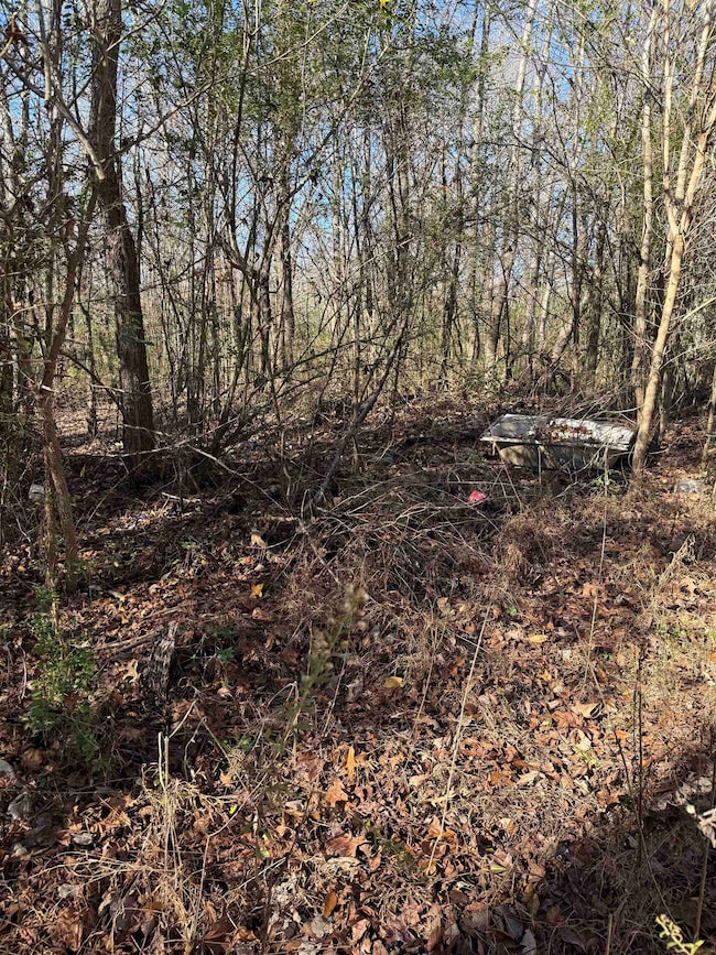 650 Person Rd, Oakland, TN 38060 - photo 3