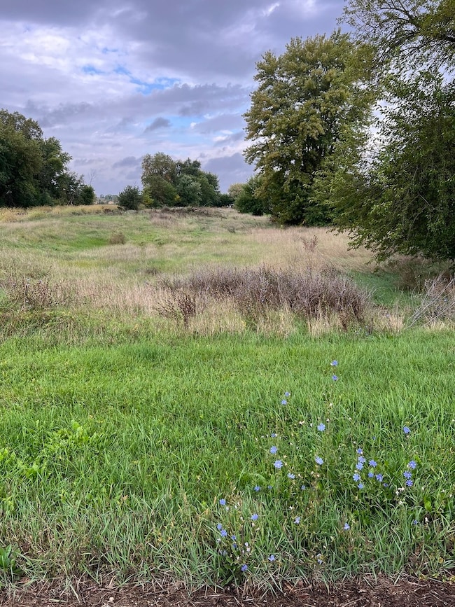 0 West St, Franklin Township, IL 60146 - photo 2