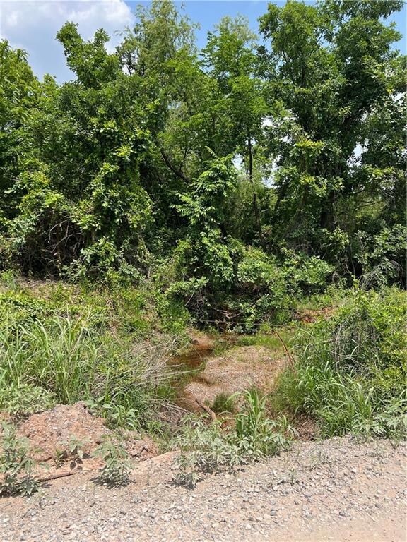 2950 Cr1310, Blanchard, OK 73010 - photo 5