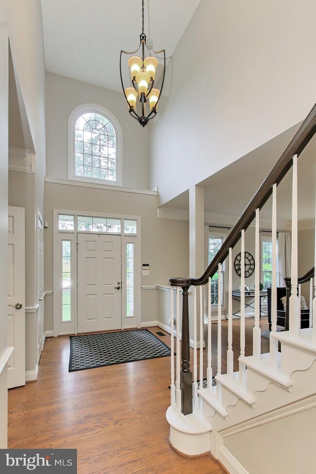 5841 Saddle Downs Place, Centreville, VA 20120 - photo 6