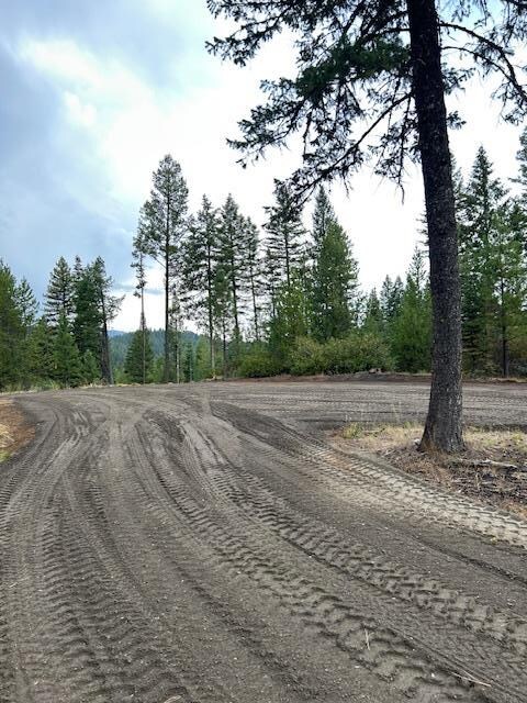 27 Sawtooth Loop unit Lot 23, Cascade, ID 83611 - photo 6