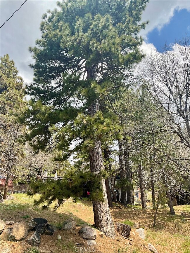 31330 Marcella Dr, Running Springs, CA 92382 - photo 7