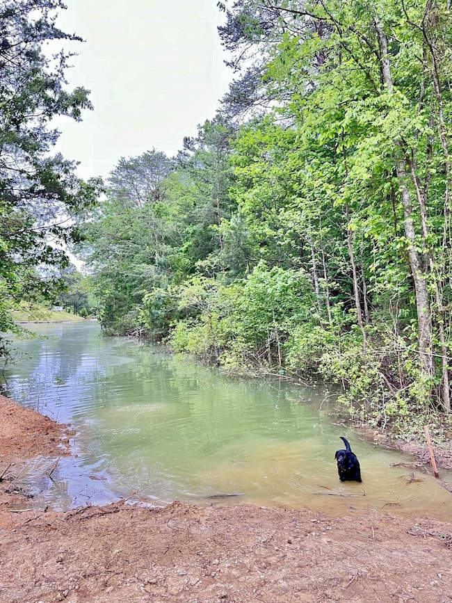 1801 Bootbluff Trail, Dandridge, TN 37725 - photo 5