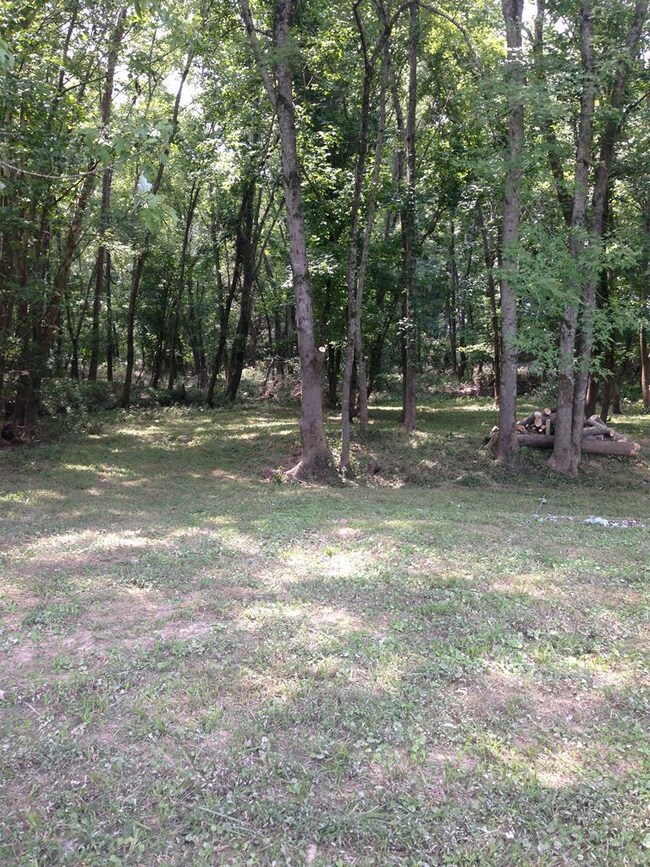 0 Tennessee 13, Linden, TN 37096 - photo 5