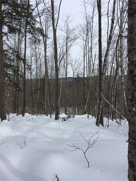1 Wint Rd, Sweden, ME 04040 - photo 4