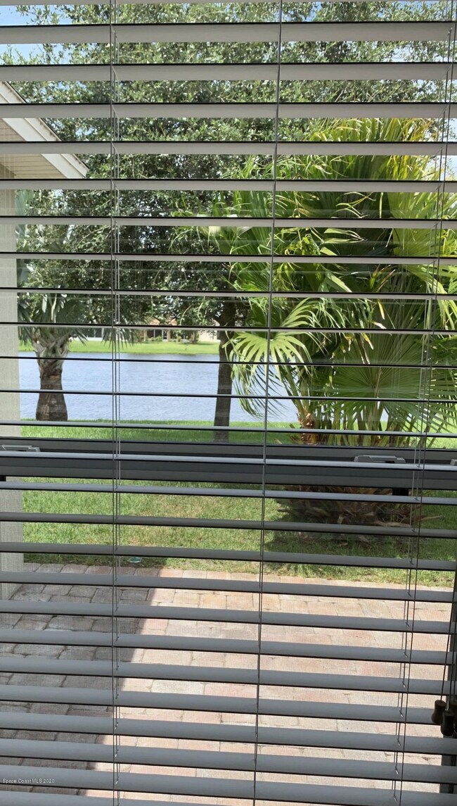 View From Master