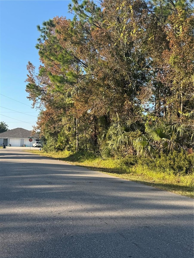 30 Pony Express Dr, Palm Coast, FL 32164 - photo 6