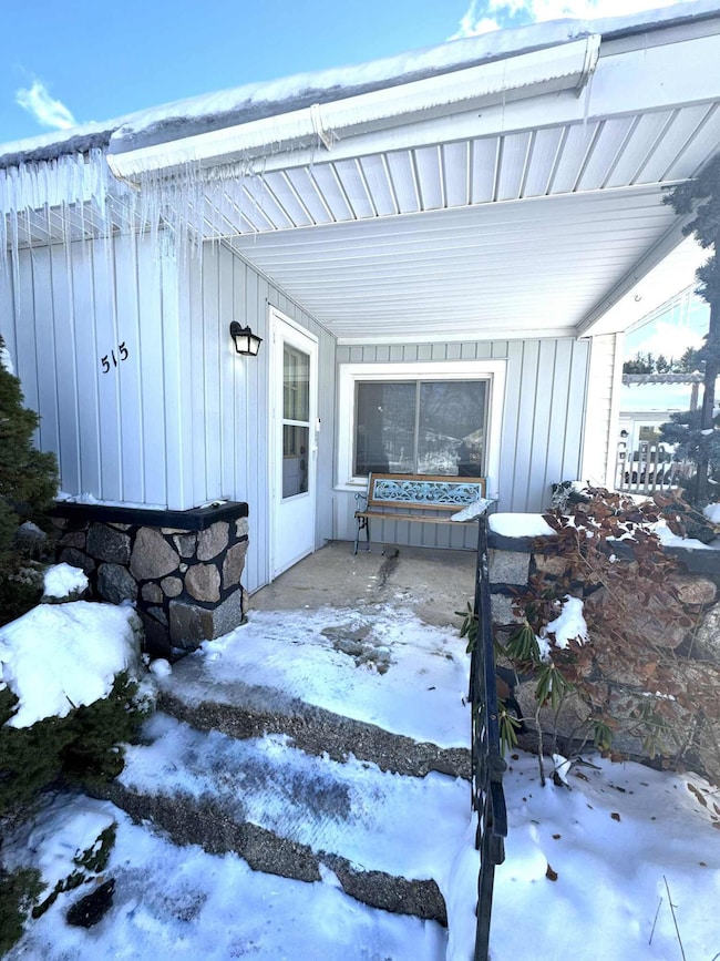 515 W Bridge St, Big Rapids, MI 49307 - photo 3