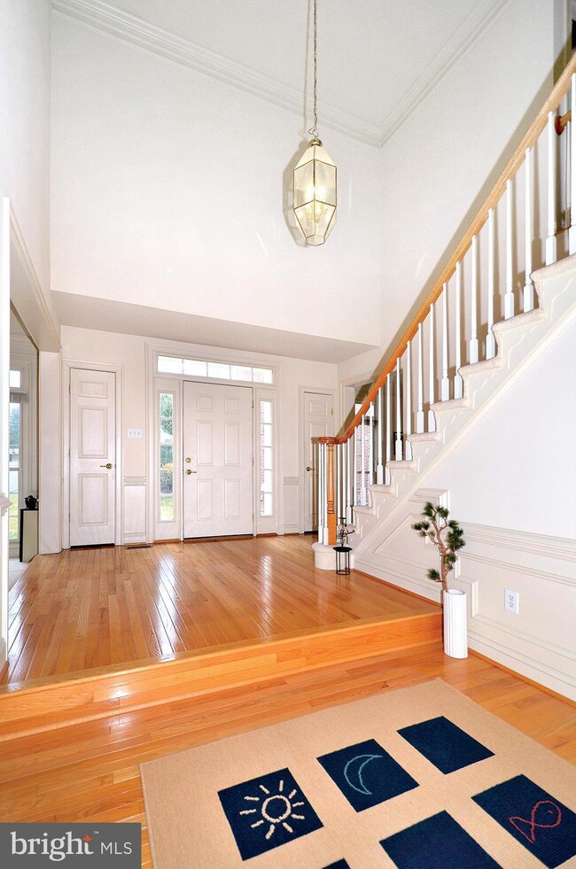 8402 Old Seven Locks Rd, Bethesda, MD 20817 - photo 5