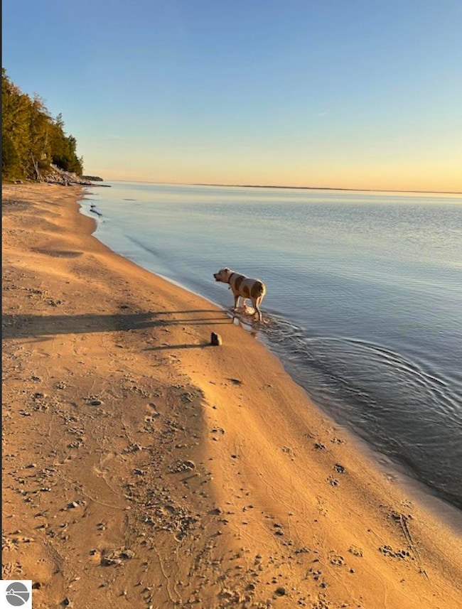 12851 Manitou Trail, Kewadin, MI 49648 - photo 2