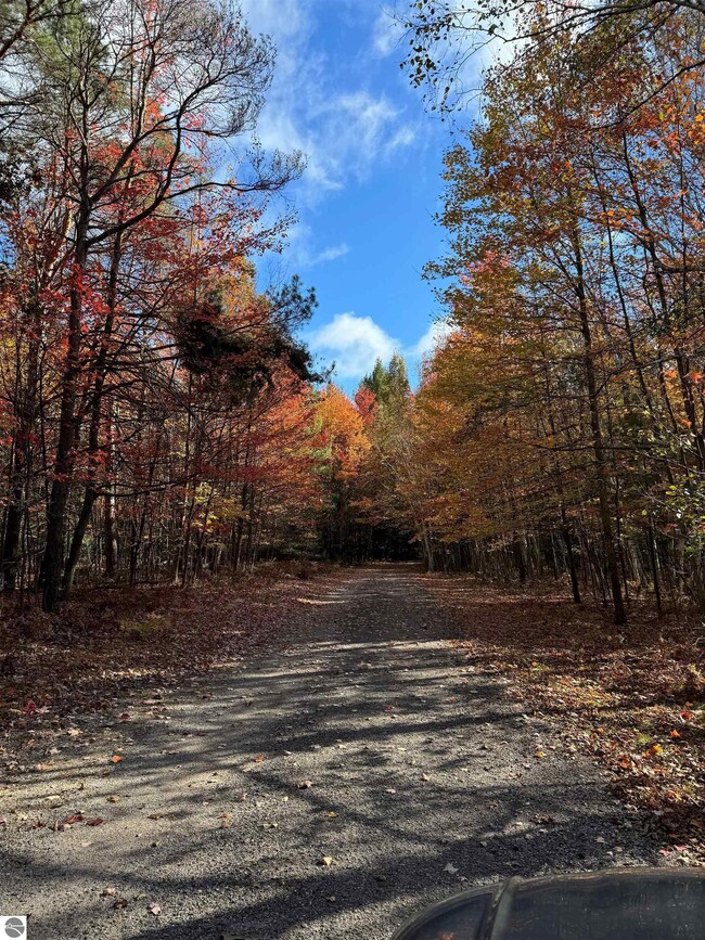 Your own Tunnel Of Trees
