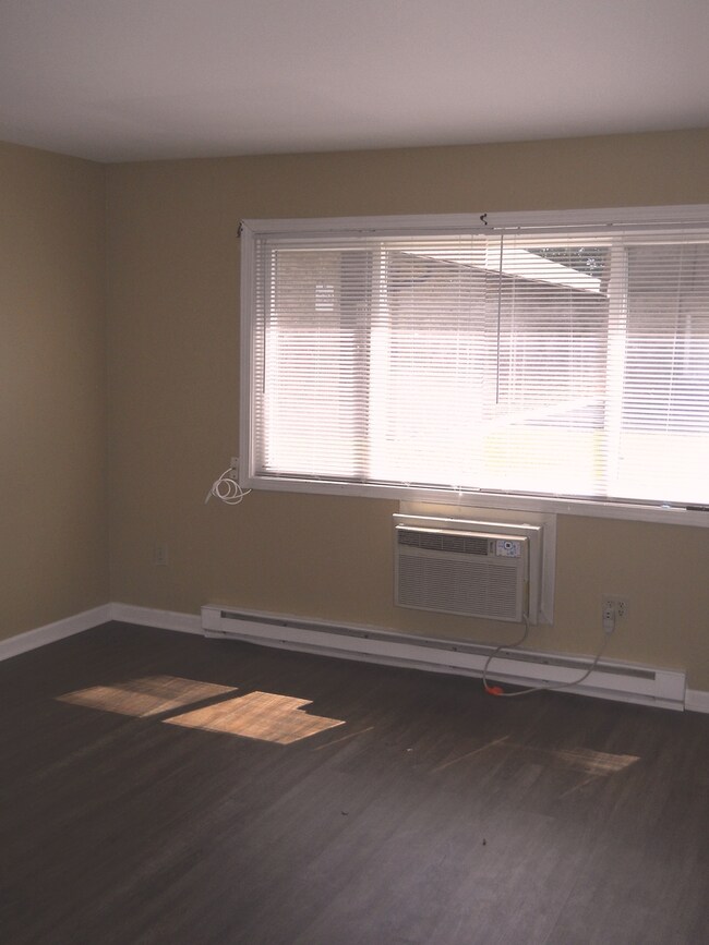 BIG, BRIGHT WINDOWS