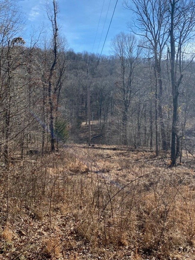 20240 Big Spring Rd, Winslow, AR 72959 - photo 4