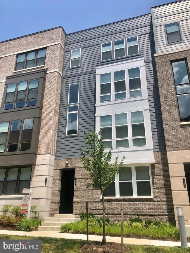 13319 Launders St unit 142, Herndon, VA 20171 - photo 3