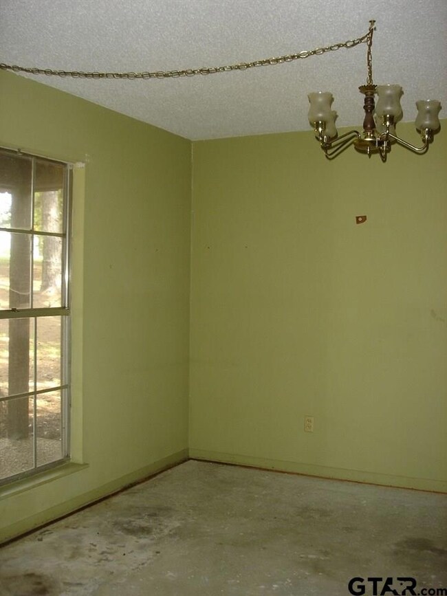 16238 County Road 2202, Tyler, TX 75707 - photo 6