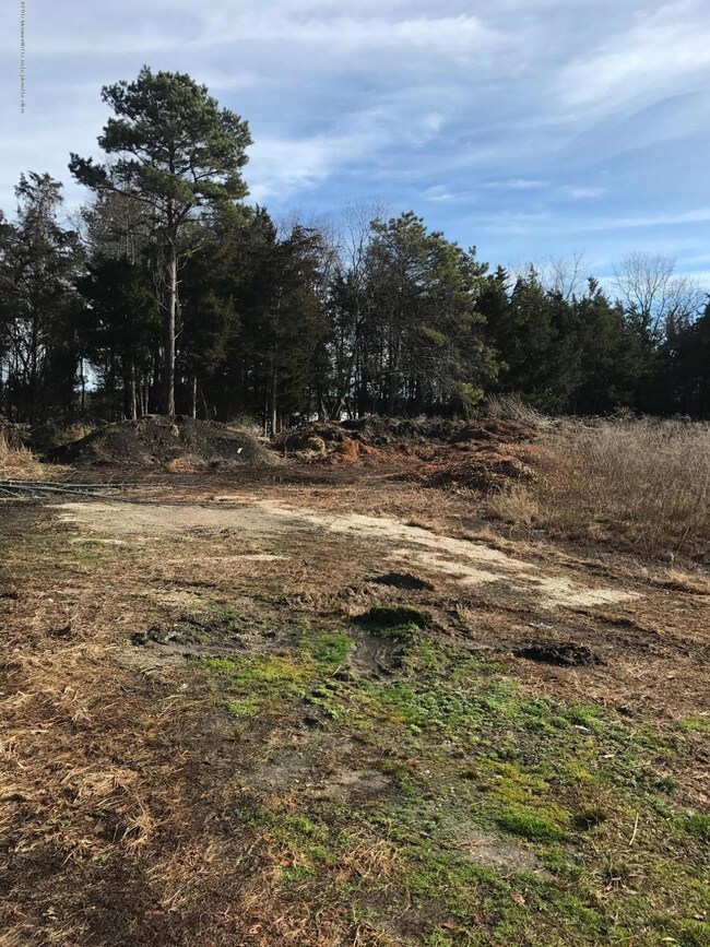 4.04 Off Nugentown Rd, Little Egg Harbor Township, NJ 08087 - photo 7